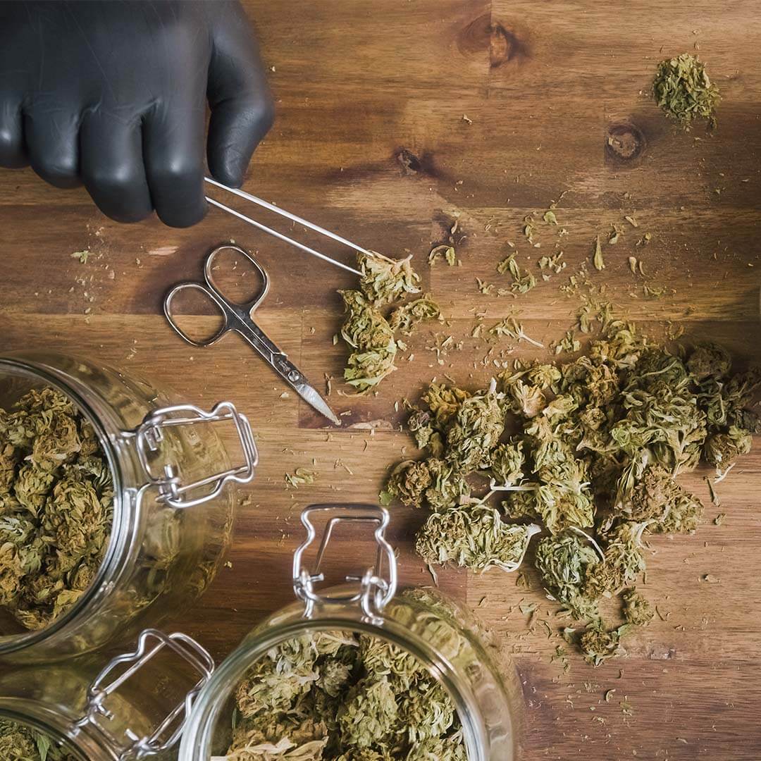 Seligson Law - Top-Rated Employment Litigation for Employees in Modesto CA - Minimum Wage Violations Seligson Law - Top-Rated Employment Litigation for Employees in Modesto CA - Minimum Wage Violations